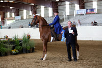 CA_Springfest19_SatAM_1058