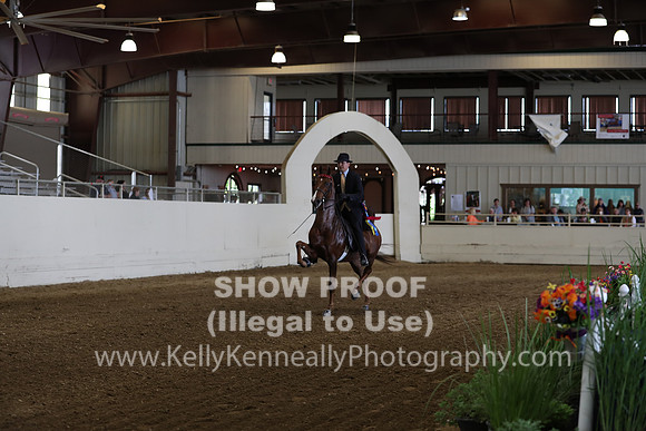 CA_Springfest19_SatAM_0928