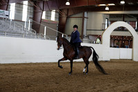 Class 57 Opportunity Walk Trot Pleasure Stake, Any Age Rider , Any Seat