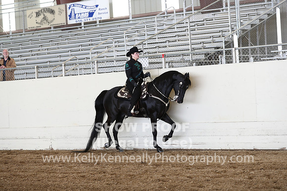 CA_Springfest19_SatAM_1104