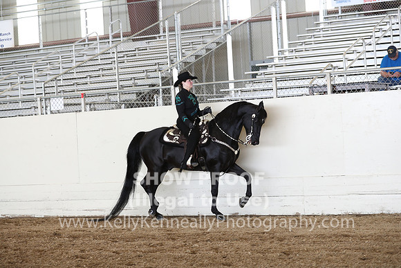 CA_Springfest19_SatAM_1105