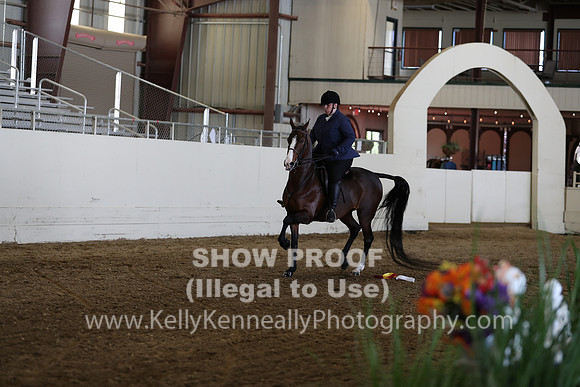 CA_Springfest19_SatAM_1155