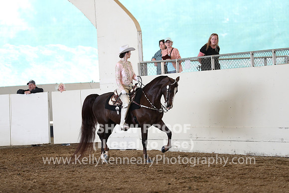 CA_Springfest19_SatAM_1109