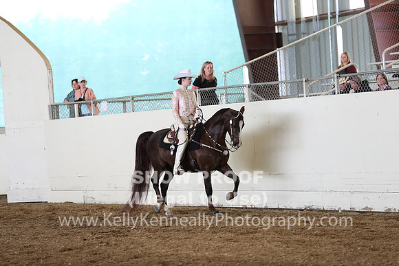 CA_Springfest19_SatAM_1110