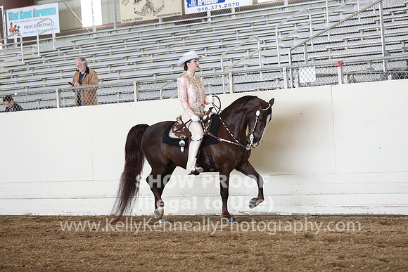 CA_Springfest19_SatAM_1113