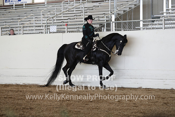 CA_Springfest19_SatAM_1114