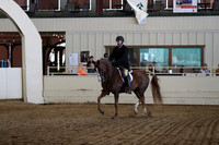 Class 57A ASB hunter Country Pleasure Stake