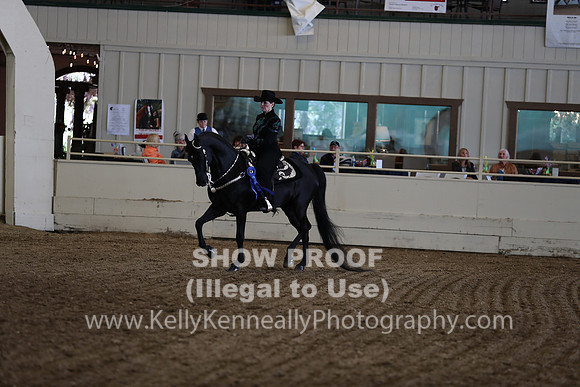 CA_Springfest19_SatAM_1118