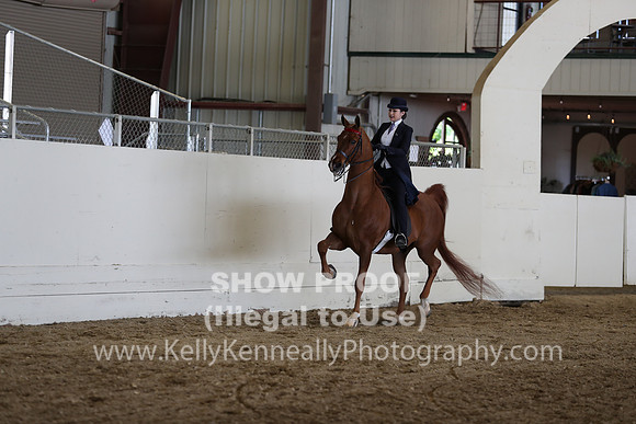 CA_Springfest19_SatAM_1252