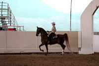 Class 60 Saddle & Bridle Shatner Western Pleasure