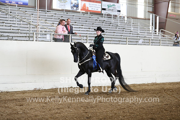 CA_Springfest19_SatAM_1121