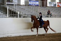 CA_Springfest19_SatAM_1272