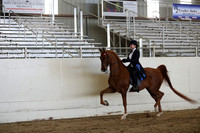 CA_Springfest19_SatAM_1273