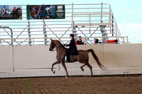 Class 60A ASB Five Gaited Country Pleasure Stake