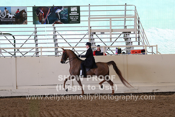 CA_Springfest19_SatAM_1312