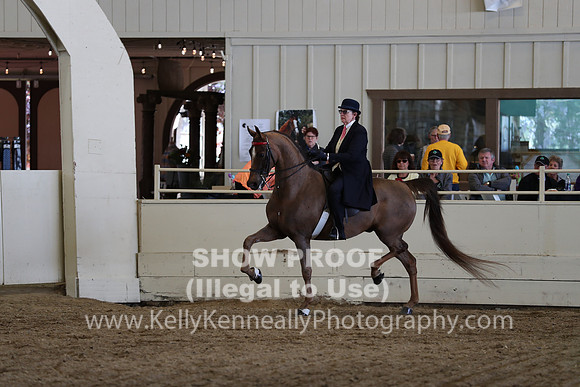 CA_Springfest19_SatAM_1314