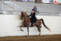 CA_Springfest19_SatAM_1320