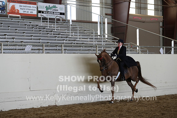 CA_Springfest19_SatAM_1330