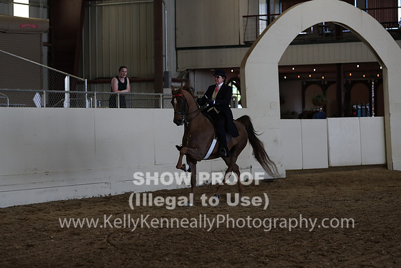 CA_Springfest19_SatAM_1334