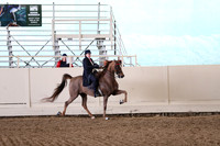 CA_Springfest19_SatAM_1350