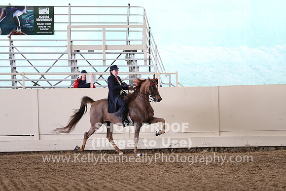 CA_Springfest19_SatAM_1350