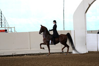 Class 62 Saddle Seat Equitation 14-17