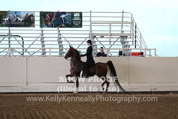 CA_Springfest19_SatAM_0856
