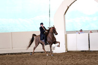 CA_Springfest19_SatAM_1353