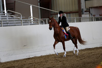 CA_Springfest19_SatAM_1435