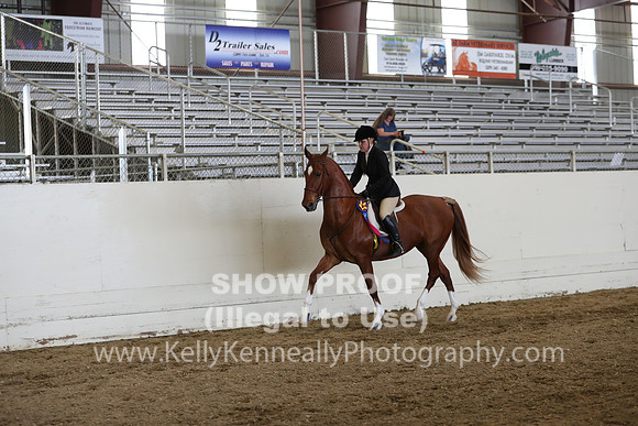 CA_Springfest19_SatAM_1436