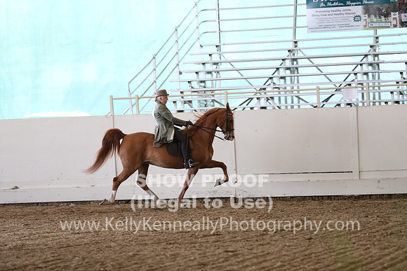CA_Springfest19_SatAM_1365