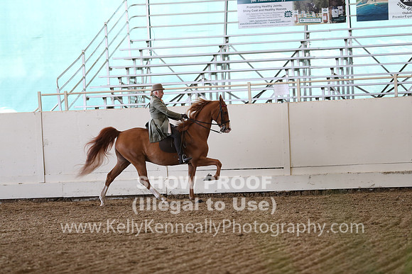 CA_Springfest19_SatAM_1368