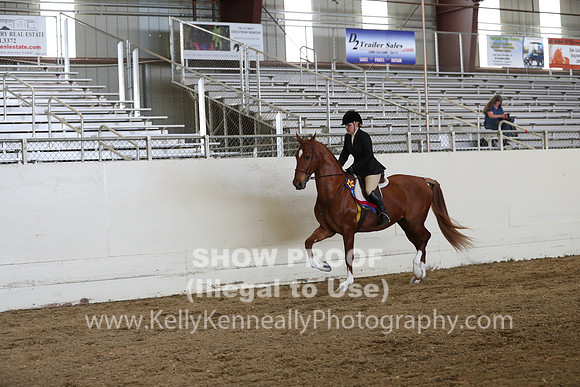 CA_Springfest19_SatAM_1437