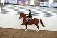 CA_Springfest19_SatAM_1438