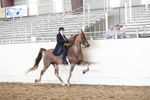 CA_Springfest19_SatAM_1372