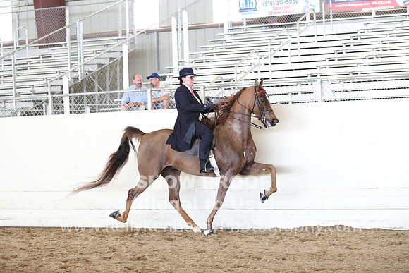 CA_Springfest19_SatAM_1374