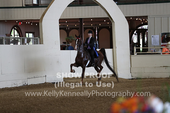 CA_Springfest19_SatAM_0871