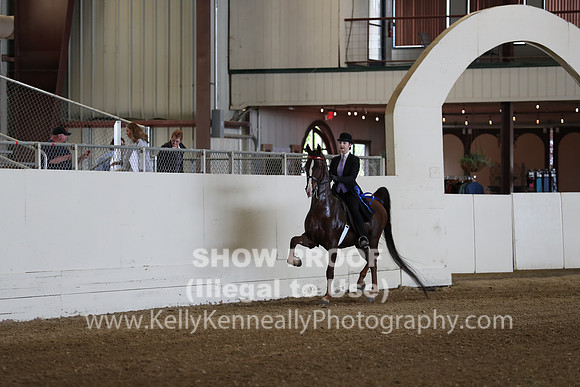 CA_Springfest19_SatAM_0872