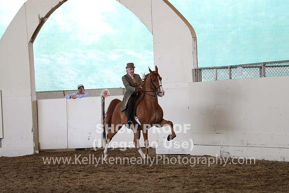CA_Springfest19_SatAM_1379