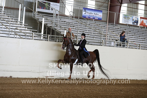 CA_Springfest19_SatAM_0874