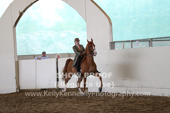 CA_Springfest19_SatAM_1380
