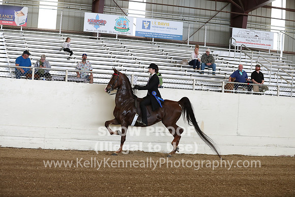 CA_Springfest19_SatAM_0877