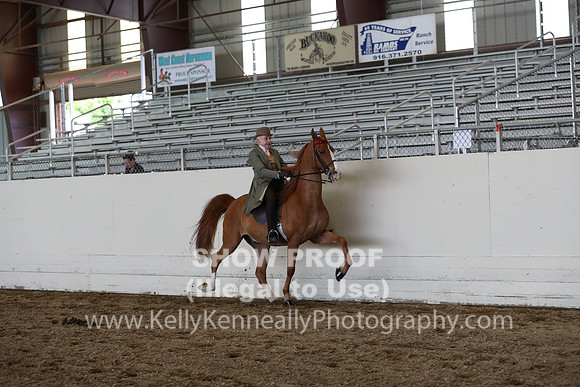 CA_Springfest19_SatAM_1385