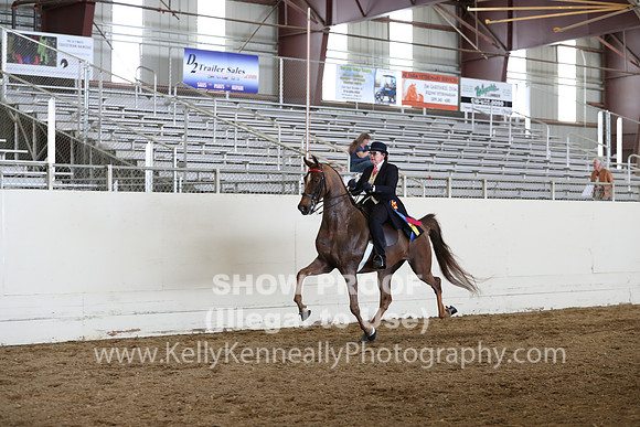CA_Springfest19_SatAM_1406