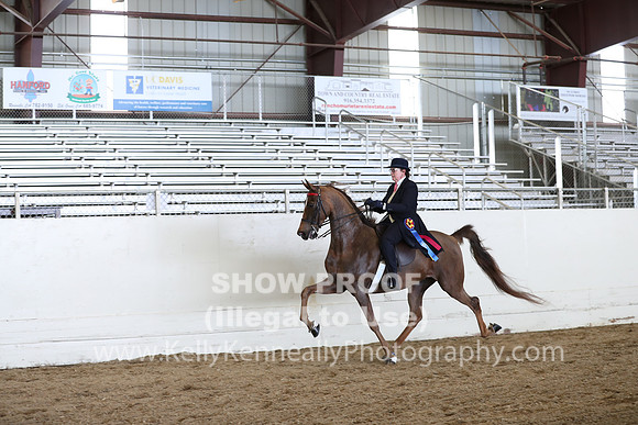 CA_Springfest19_SatAM_1411