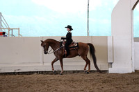 Class 64 Walk Trot 12 & Under Pleasure Open to Any Breed Any Seat