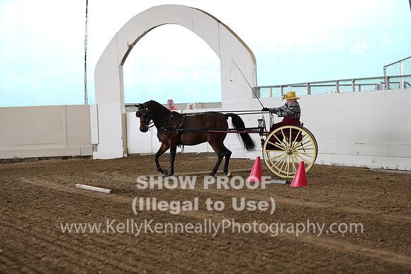 CA_Springfest19_SatAM_0780