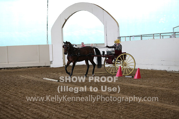 CA_Springfest19_SatAM_0781