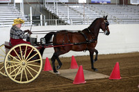 CA_Springfest19_SatAM_0784