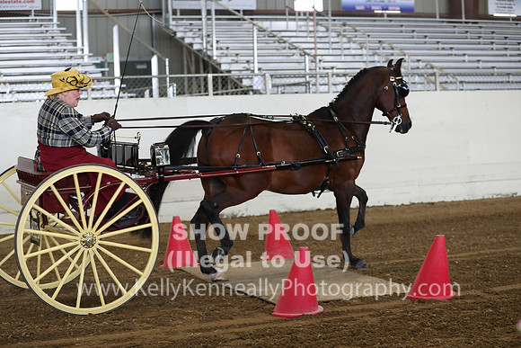 CA_Springfest19_SatAM_0784